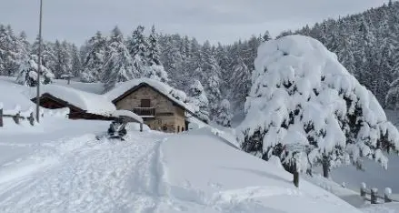 Malghe e rifugi della val di Non pronti a ripartire: ecco quali sono e tutte le info