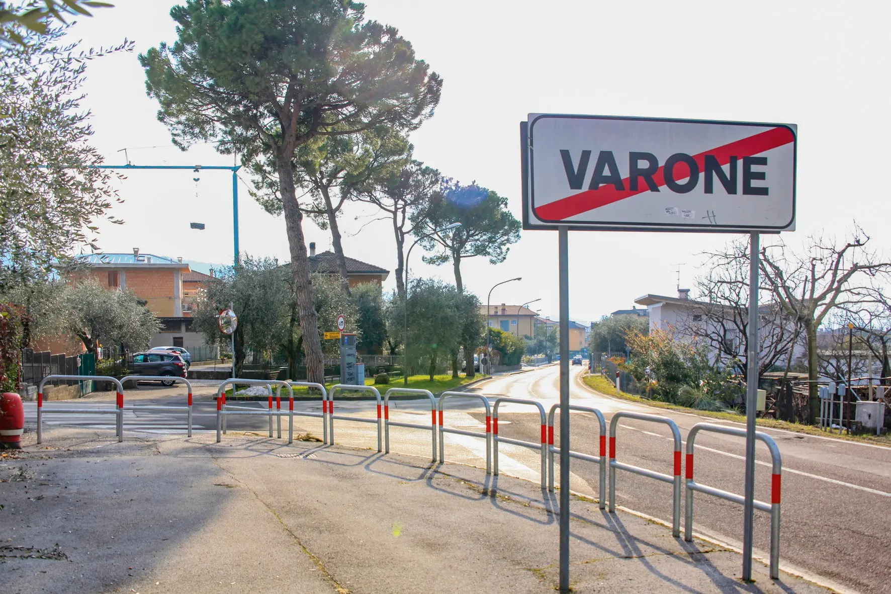 29/01/21 Riva del Garda Pino marittimo in via Ballino