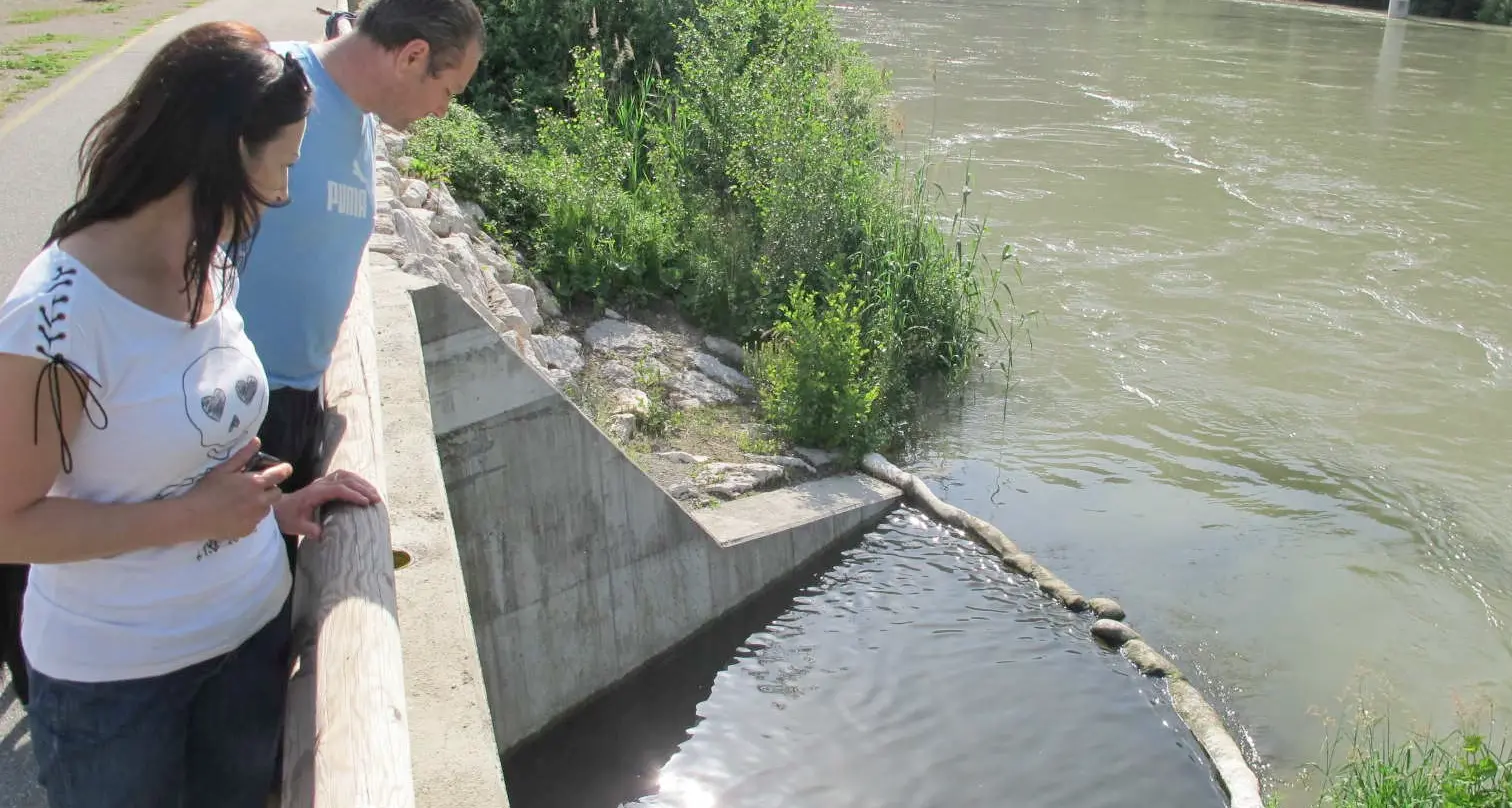 Storia del rio Coste, un bel ruscello di Rovereto diventato una cloaca chimica