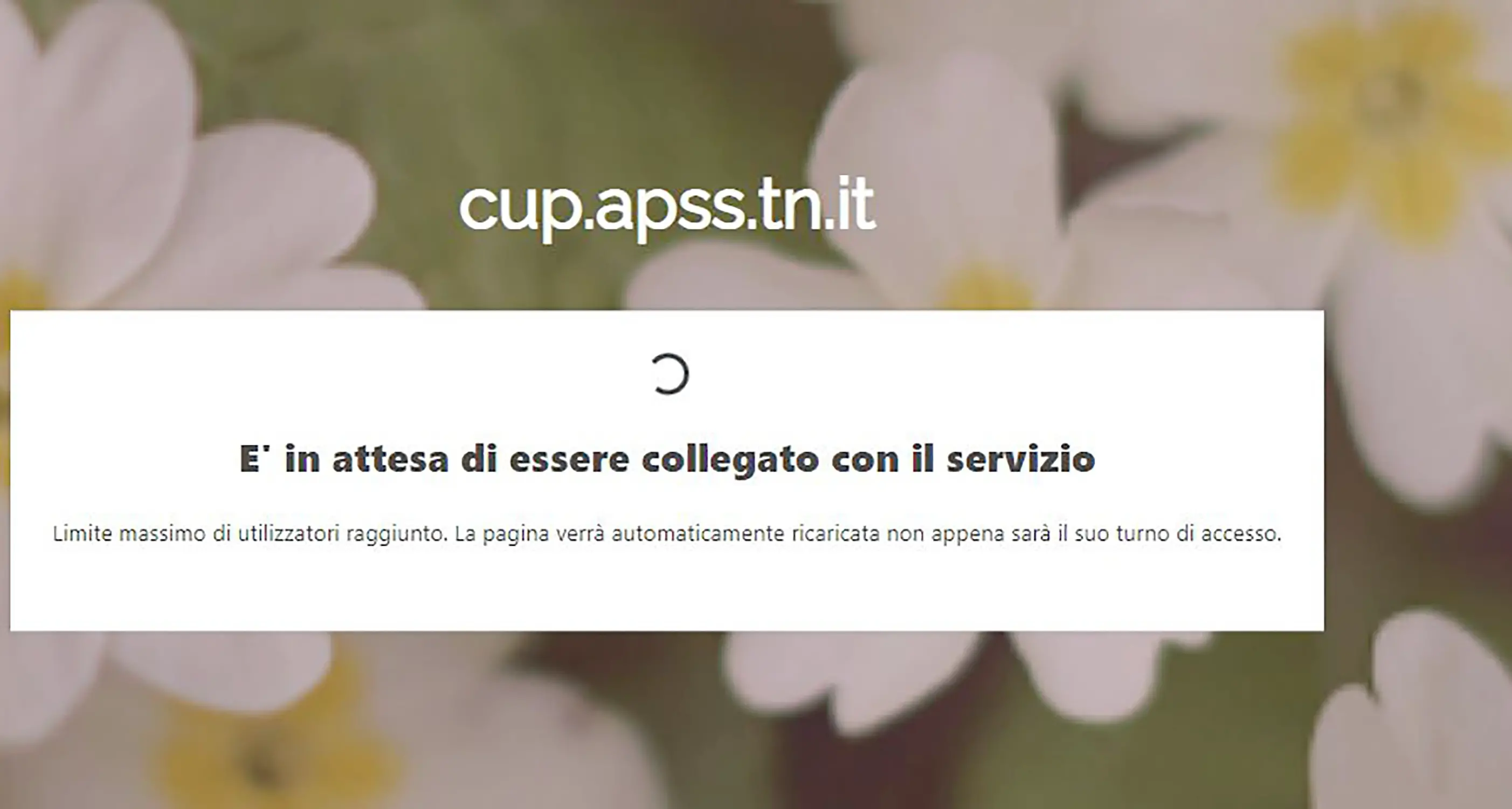 Manzana (Gpi): \"mai avuto tante richieste\". Ecco perché la prenotazione online dei vaccini non ha funzionato
