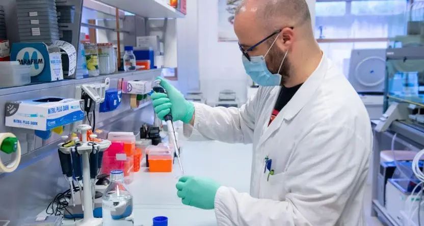 In Trentino c'è la \"variante\" del virus? Ancora non lo sappiamo, l'Azienda Sanitaria spera \"in un 20% dei casi\"