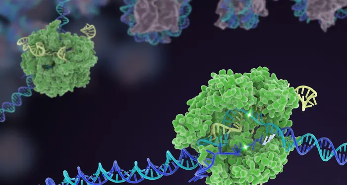 Il genetista Zollo: «In attesa dei dati scientifici è giusta la cautela contro le varianti del virus. Bisogna studiarle di più anche in Italia»
