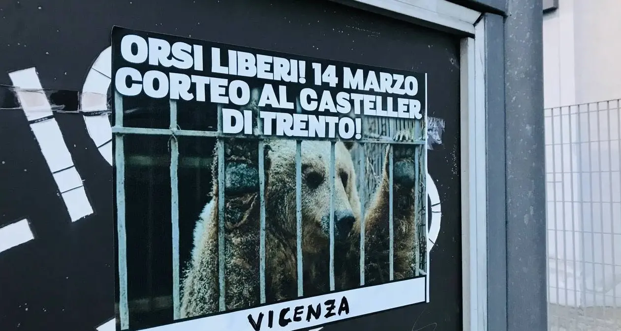 \"Orsi del Casteller liberi\": blitz animalista, striscioni e poster in sedici città italiane