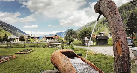 Restrizioni covid fino a Pasqua, la denuncia di Barbacovi (Coldiretti): così in Trentino agriturismo in ginocchio