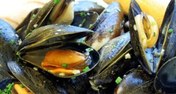 La gastroenterite \"da cozze\" può scoppiare dopo tempo