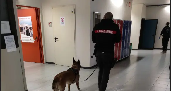 Droga, controlli dei carabinieri nelle scuole a Cavalese e a Tesero