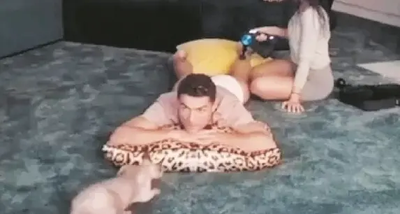 Investito il gatto di Cristiano Ronaldo, e lui noleggia un jet privato per mandarlo in clinica in Spagna