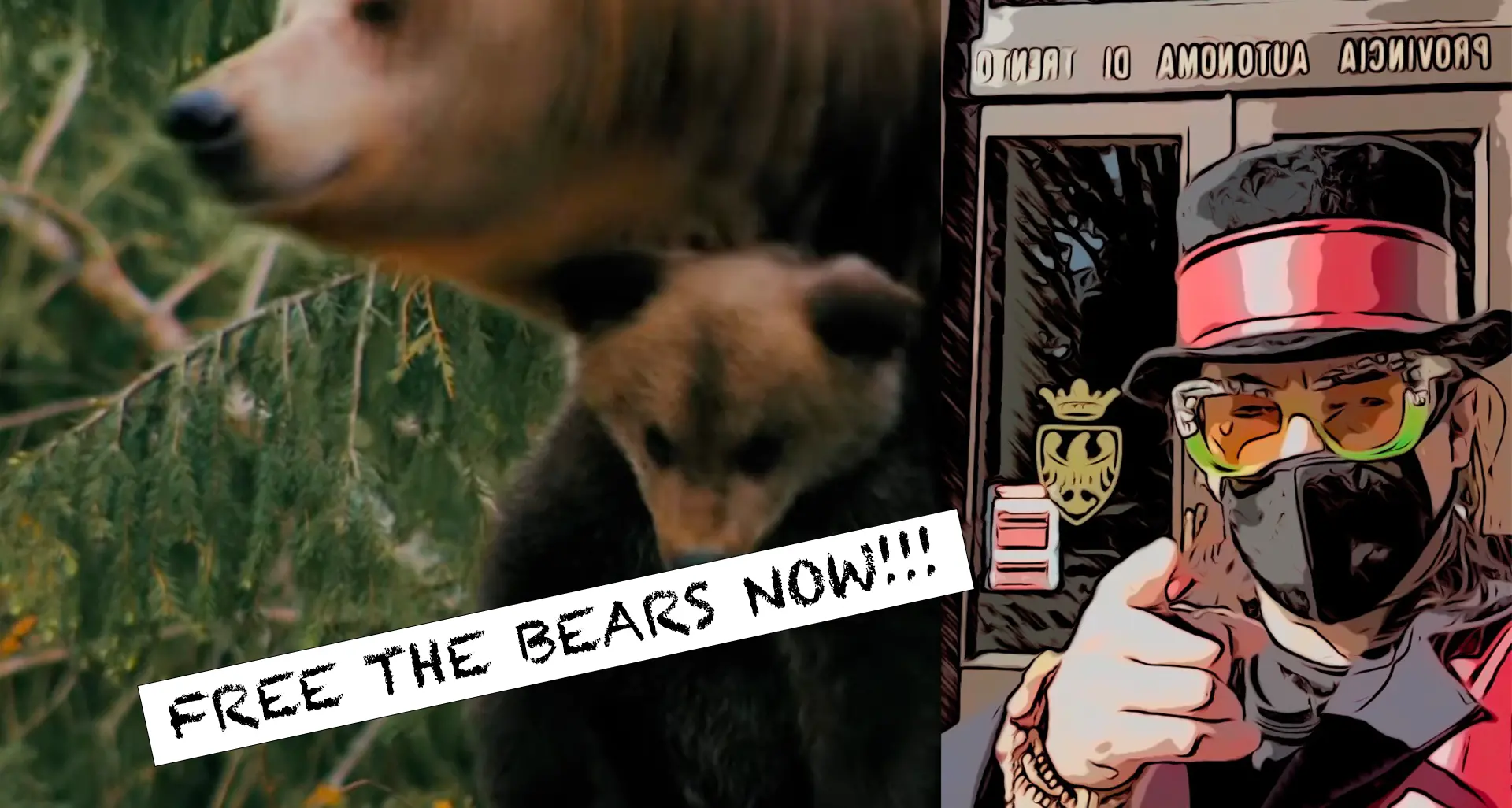 Alvegan: ecco il videoclip di \"Free the bears now!!!\" per la liberazione degli orsi rinchiusi al Casteller