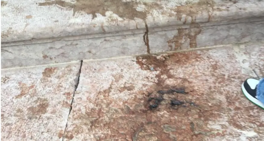 La fontana del Nettuno di nuovo piena di sporcizia, era stata ripulita pochi giorni fa