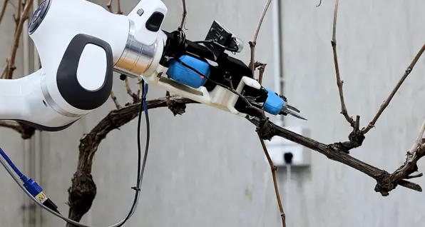 Nei campi arrivano i robot: dal potatore al quadrupede meccanico
