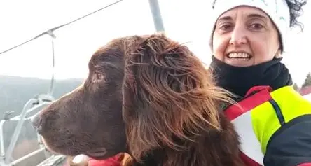 Così i cani da soccorso imparano ad andare in seggiovia