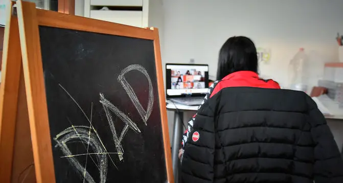 Un anno di Dad: il parere degli studenti, com'è andata secondo loro