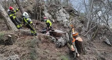 Il cavallo nel dirupo: elicottero, pompieri e veterinaria, lo salvano con tre ore di lavoro