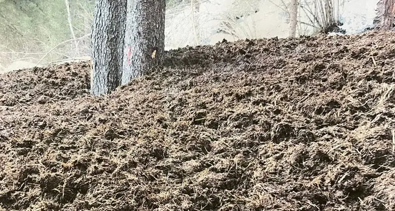 Degasperi: da una stalla liquami e letame giù nel bosco e vicino al Sarca