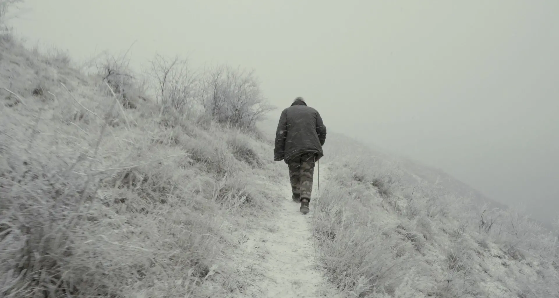 Trento Film Festival verso il gran finale tra premi, incontri e proiezioni