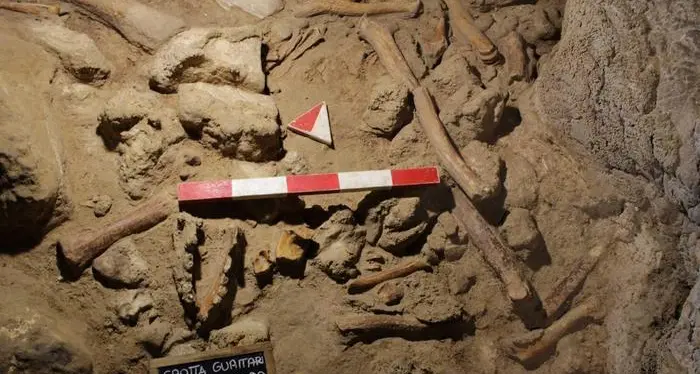In una grotta al Circeo i resti di nove umani del Neanderthal