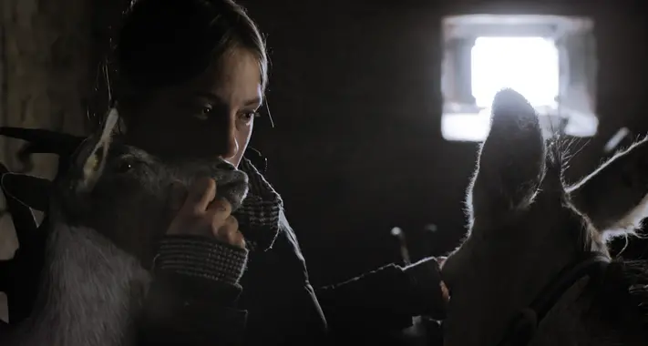 Genziana d'oro per \"Anche stanotte le mucche danzeranno sul tetto\", film ambientato in un alpeggio ticinese