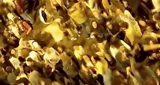 Il \"braccio di ferro\" sulla movida: oggi e domani tornano le chiusure nella zona di via Santa Maria Maddalena