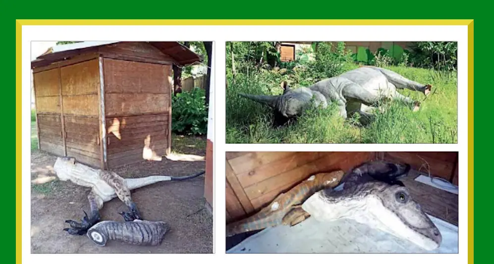 Distrutta la mostra dei dinosauri: raid vandalico nella notte, riproduzioni fatte a pezzi
