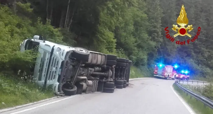 Cervo attraversa la strada, Tir di legname si ribalta vicino a passo Vezzena