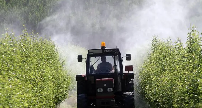 Report di 4 Paesi Ue: \"Il glifosato non è cancerogeno\"
