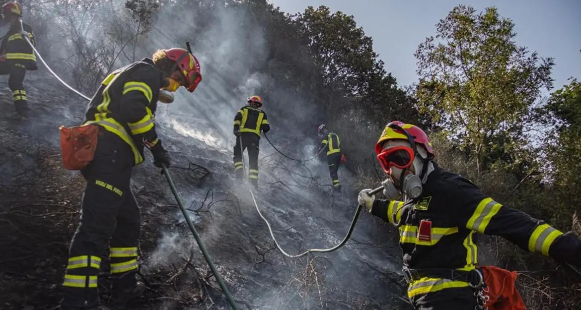 I roghi devastanti: anche in calabria i vigili del fuoco inviati dalle Regioni