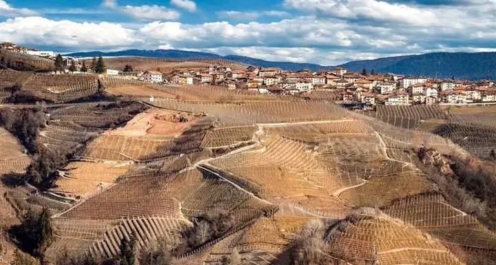 Vacanze verdi, l'agriturismo sempre più gettonato