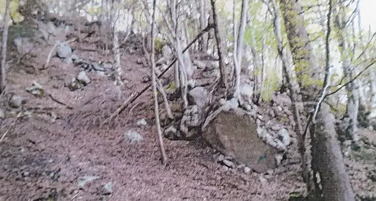 Area edificabile ma il proprietario non può costruire: pericolo di caduta massi