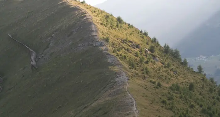Alpi, fa più caldo e la vegetazione si espande verso le cime: monti sempre più verdi