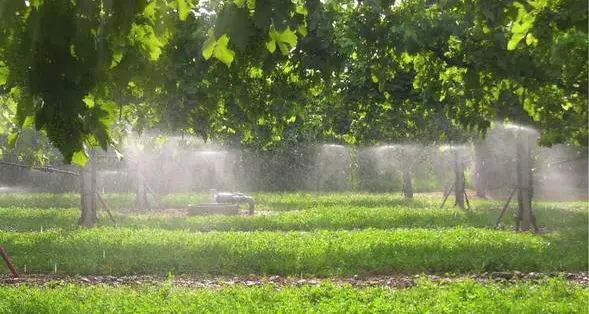 Piano nazionale di ripresa, ok a 14 progetti irrigui trentini per quasi 84 milioni