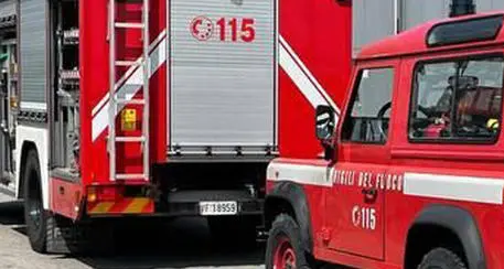 Cade nella vasca piena di mosto, muore lavoratore trentenne di un'azienda vinicola