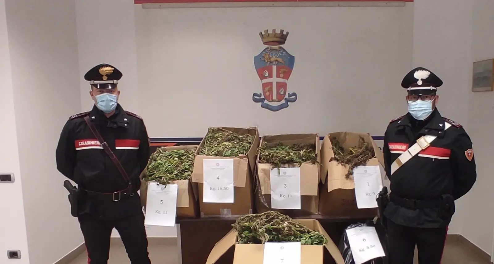 Coltivazione di marijuana, i carabinieri arrestano un quarantenne a Castel Ivano