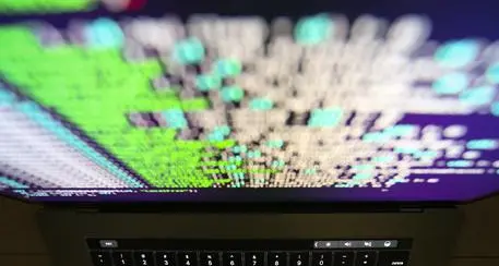 Attacco hacker anche contro la Siae, sottratti molti dati sugli artisti rappresentati