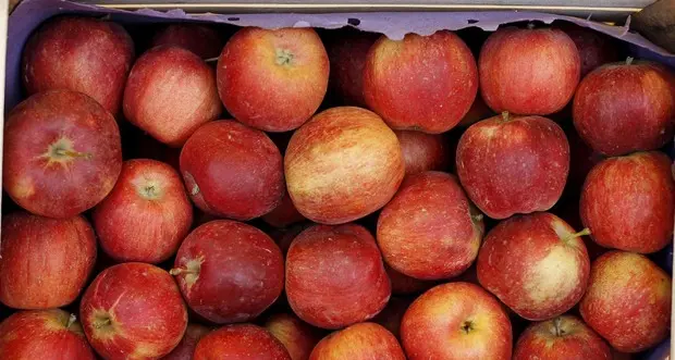 I sindacati: \"Operaie costrette a lavorare gratis un'ora e mezzo dopo un errore su un ordine\"