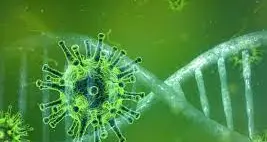 Test più diffusi all'inizio della pandemia avrebbero limitato i danni: \"Fino a marzo 2020 rilevato solo il 3% delle infezioni\"