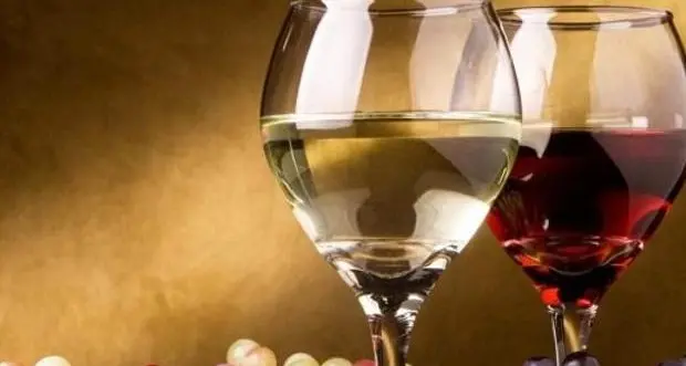 Vini del Trentino, affari d'oro: nei primi sei mesi del 2021 export a +13,5% rispetto al 2019