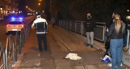 Trento, cagnolino al guinzaglio aggredito e ucciso sul marciapiede da un pitbull che girava libero