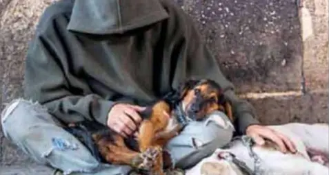 I cani sfruttati per chiedere l'elemosina: le associazioni premono per il divieto, il Comune resta più cauto
