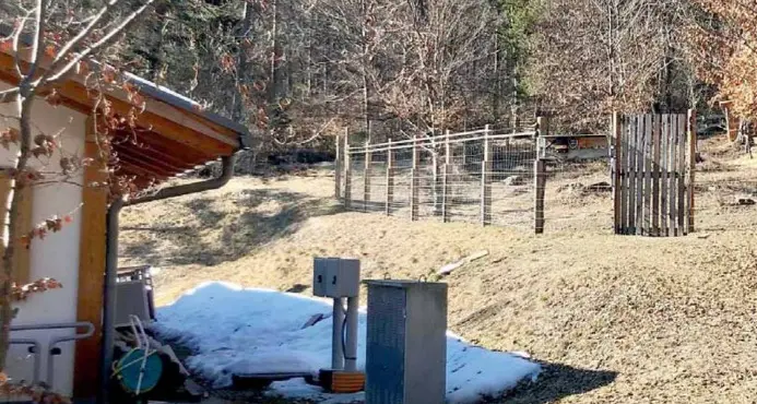 Lucchetti tagliati e caprioli liberati nottetempo dal recinto di Cavedago (ma è stata la Forestale)