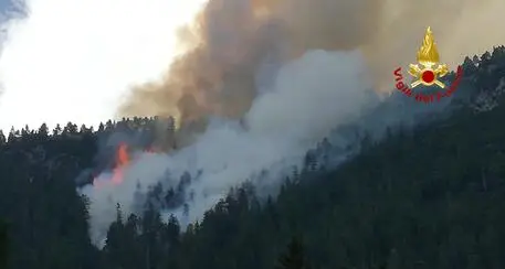Incendi nei boschi sopra Longarone: resta chiusa la strada per la val di Zoldo, aria inquinata in valle del Piave