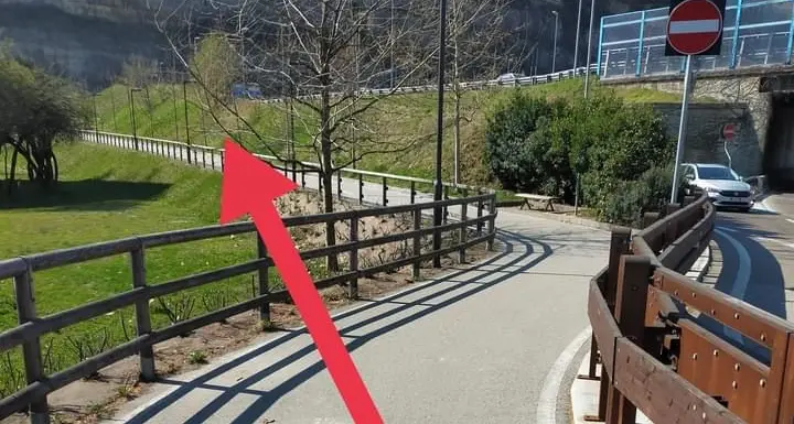 Attenzione ai bocconi avvelenati lungo la pista ciclabile, polpettine trovate in via Dos Trento