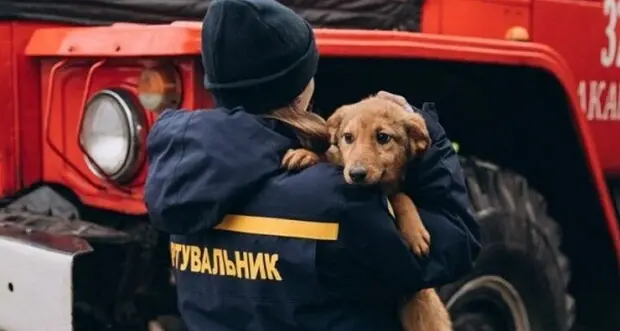 Ucraina, associazioni e zoo d'Europa impegnati per salvare anche gli animali in difficoltà
