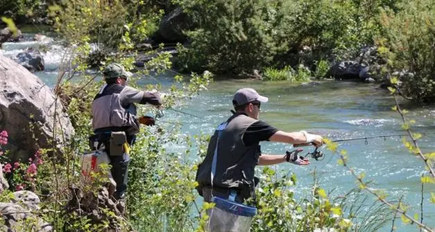Pesca e immissione di trote e altre specie non locali, la Provincia precisa: nessuna deroga