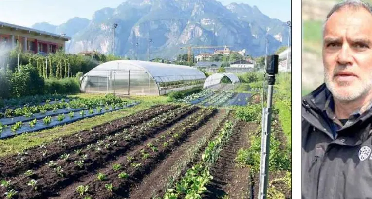 Terreno, semine, irrigazione: ecco tutti i segreti per preparare un orto ricco e sano