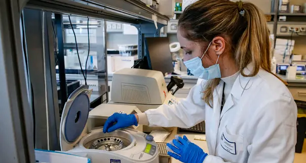 Nuova ricombinazione di Omicron scoperta in Italia: è il terzo caso al mondo