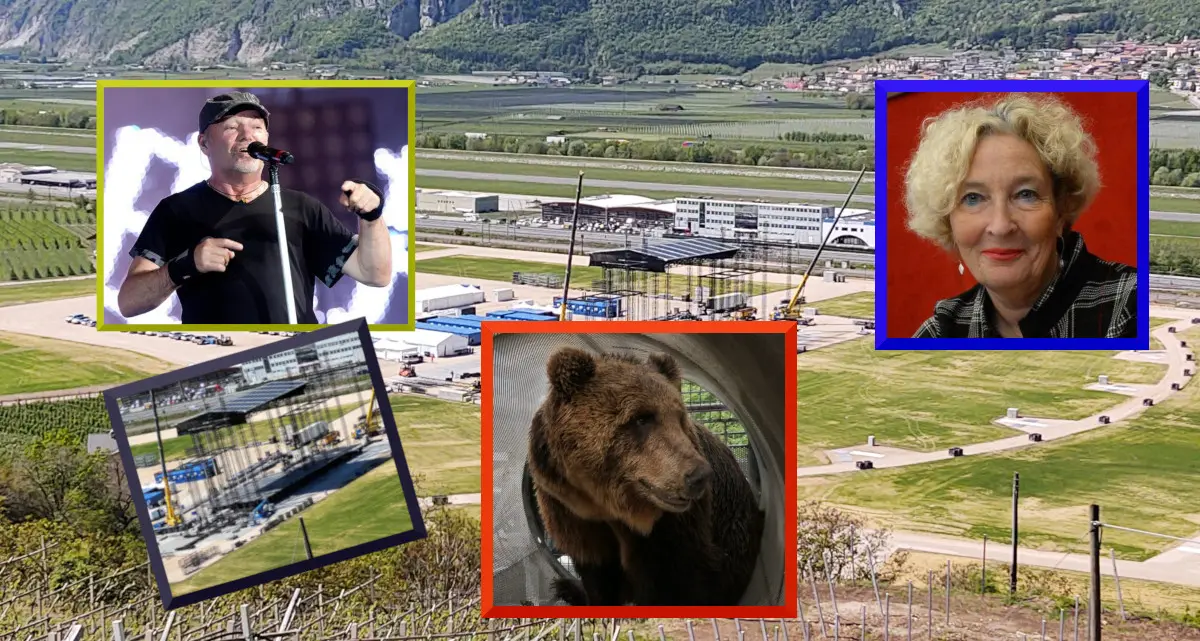 Che effetto avrà la musica di Vasco sull'orso M49? Coppola: \"Bisogna proteggerlo dall'inquinamento acustico\"