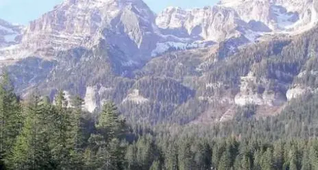 Viaggio tra le storie dell'Adamello Brenta, tornano i martedì del Parco