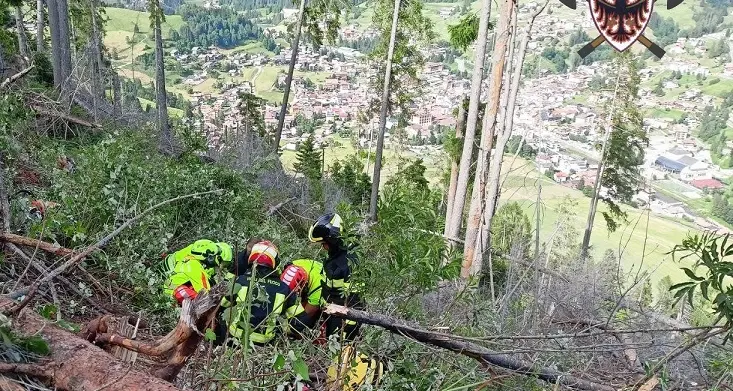 Giovane boscaiolo solandro si infortuna mentre lavora sopra l'abitato di Moena