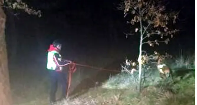 Continuano le ricerche del piccolo Francesco, perso nel bosco vicino a Belluno