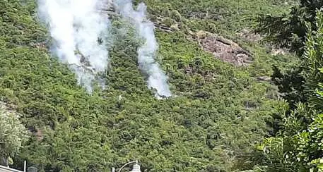 Incendio anche sopra Bolzano: fiamme sulle passeggiate di Sant'Osvaldo